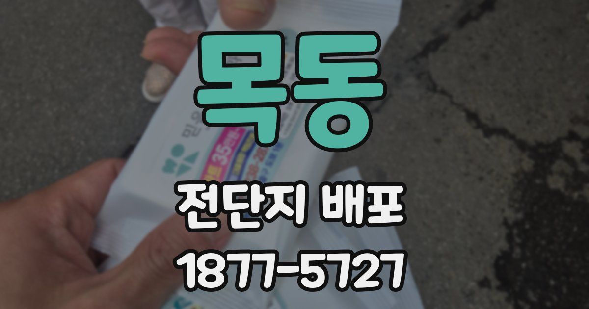 목동 전단지 배포