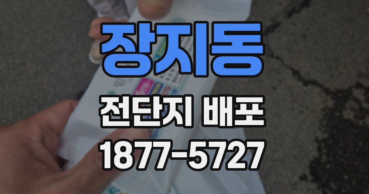장지동 전단지 배포