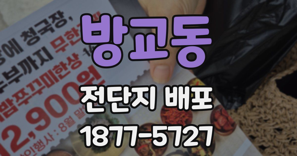 방교동 전단지 배포