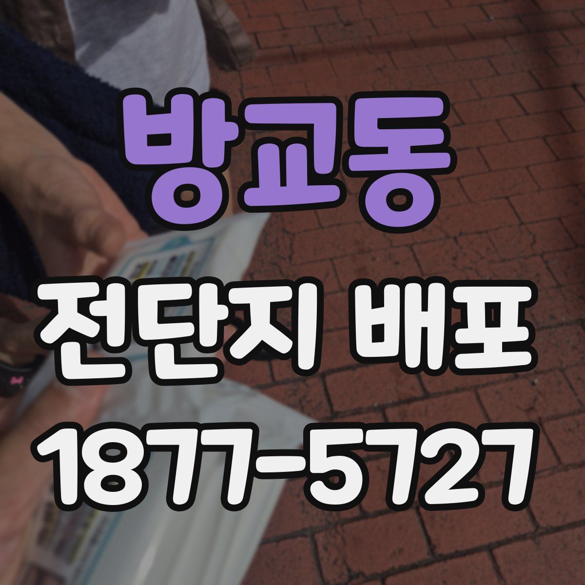방교동 전단지 배포