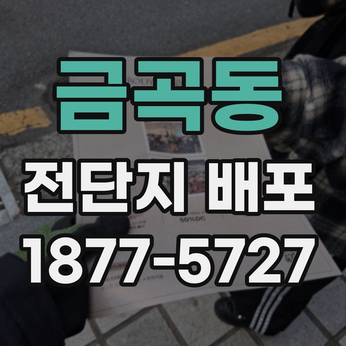 금곡동 전단지 배포