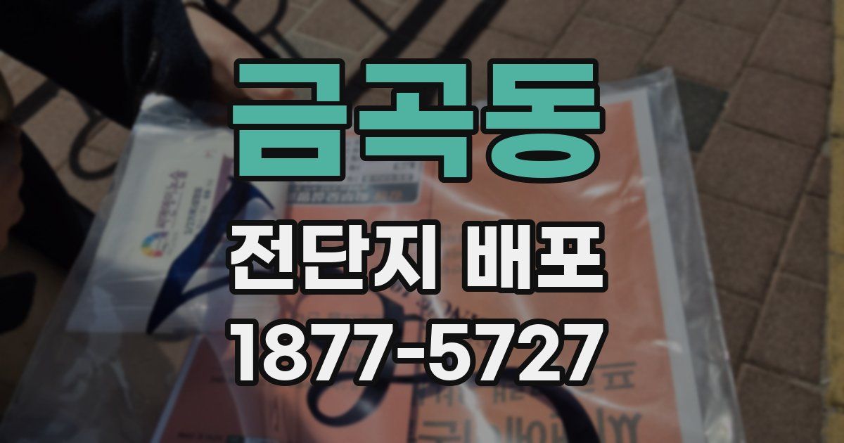 금곡동 전단지 배포