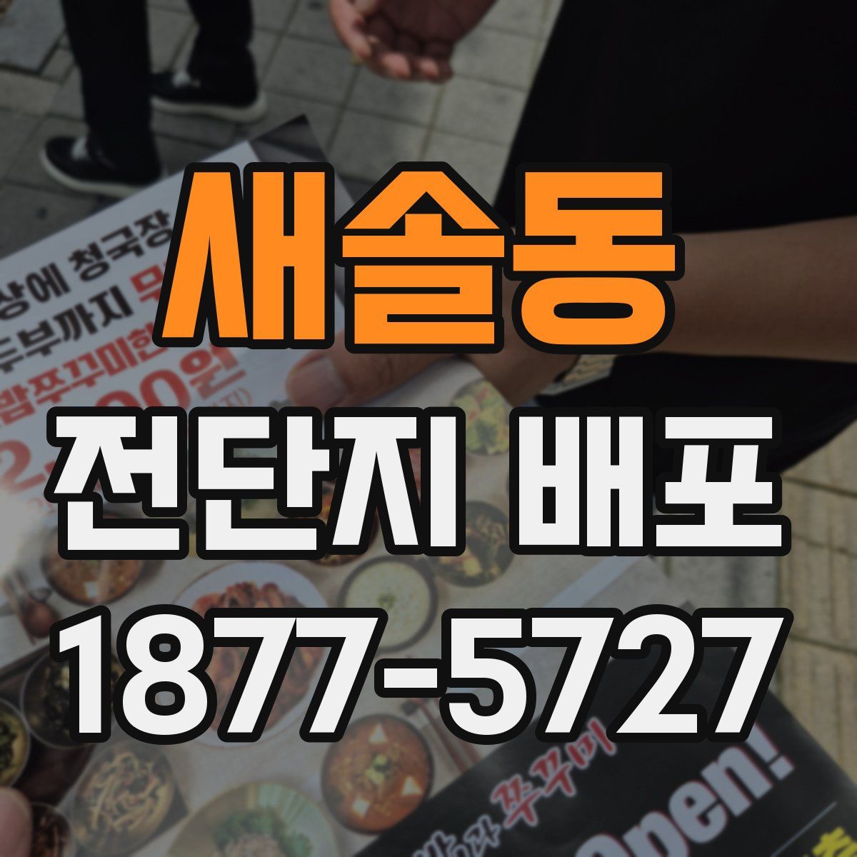 새솔동 전단지 배포