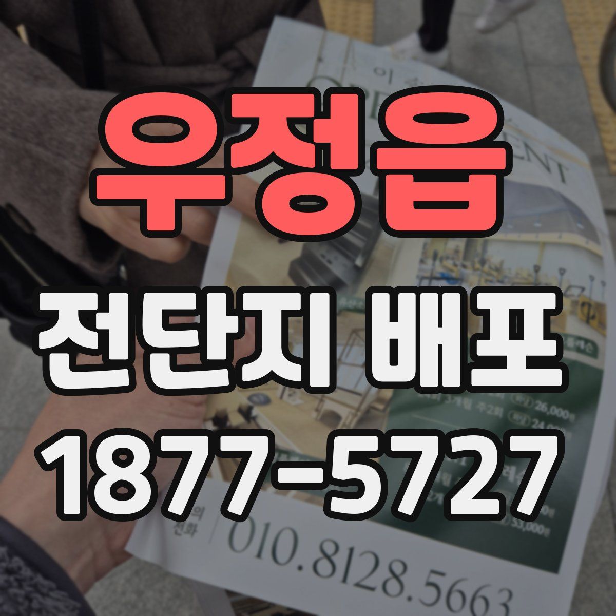 우정읍 전단지 배포
