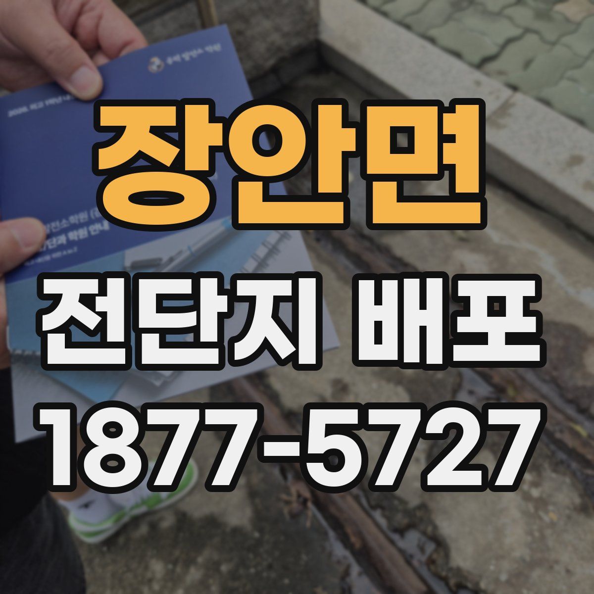 장안면 전단지 배포