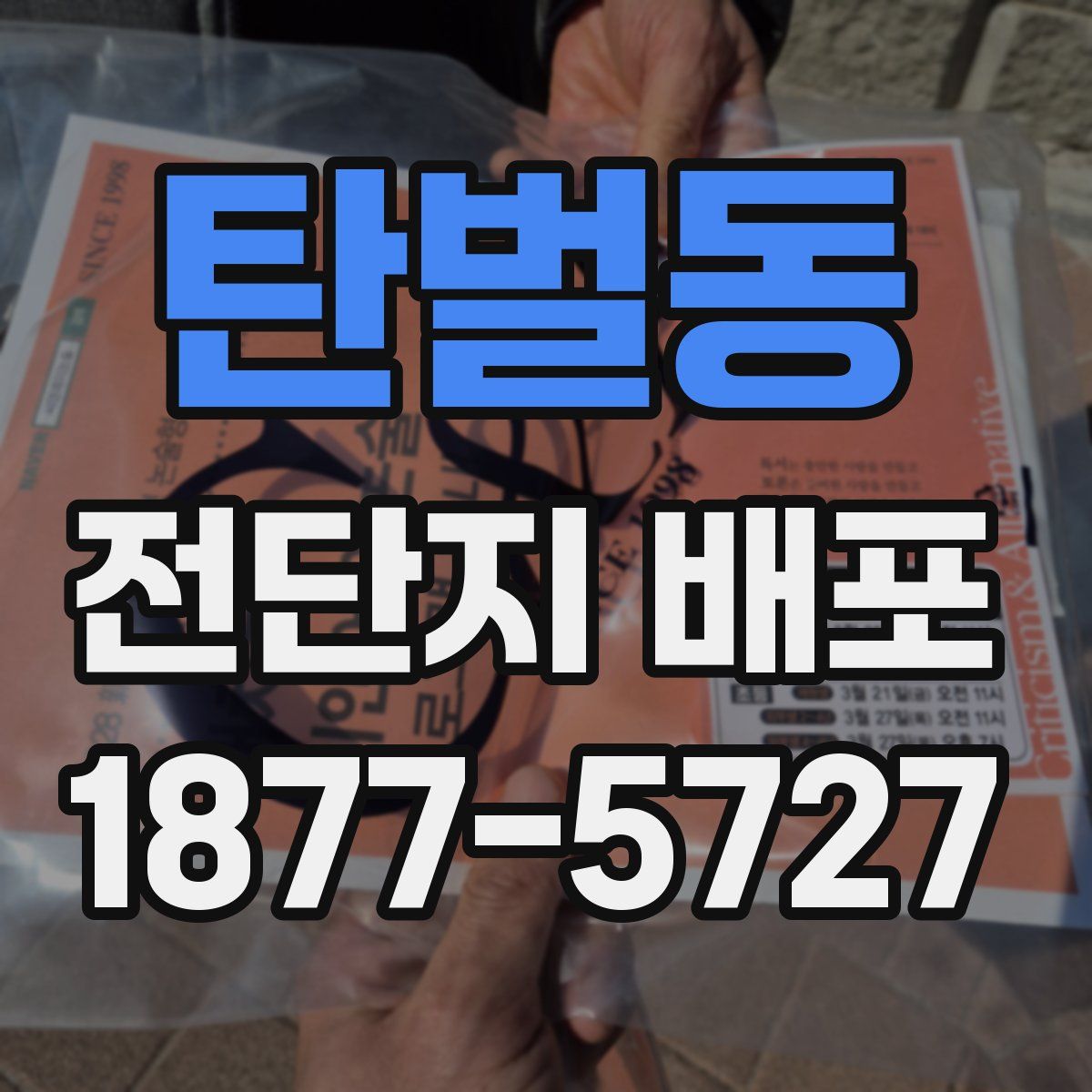 탄벌동 전단지 배포
