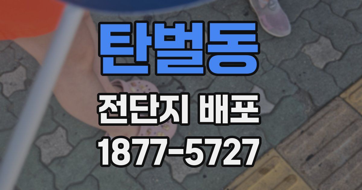 탄벌동 전단지 배포