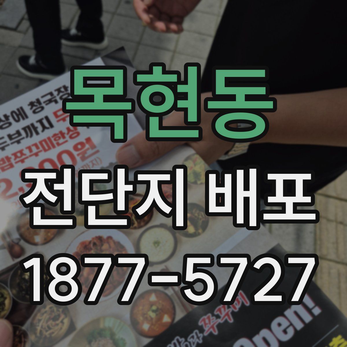 목현동 전단지 배포