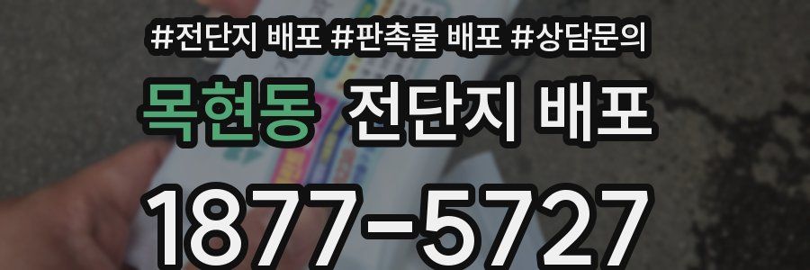 목현동 전단지 배포