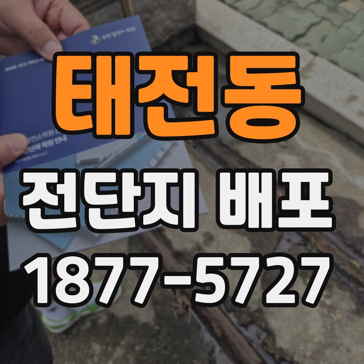 태전동 전단지 배포