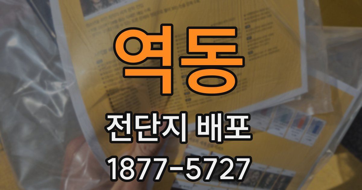 역동 전단지 배포