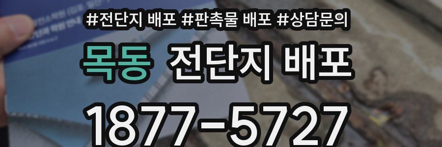목동 전단지 배포