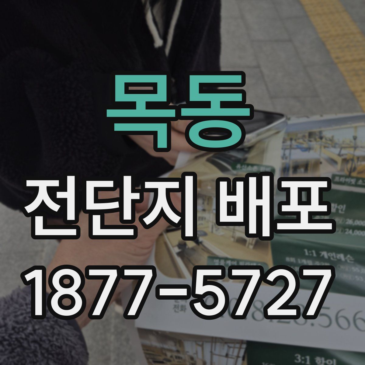 목동 전단지 배포