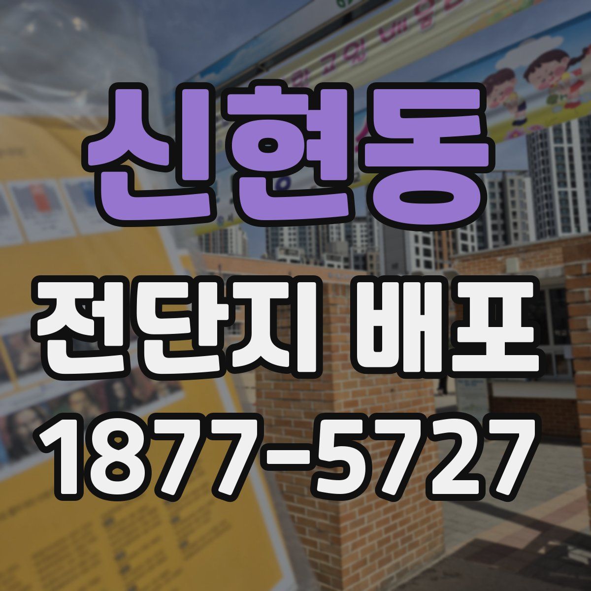 신현동 전단지 배포