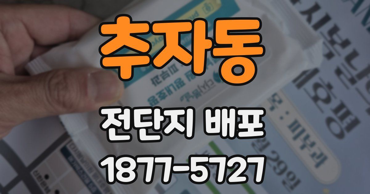 추자동 전단지 배포