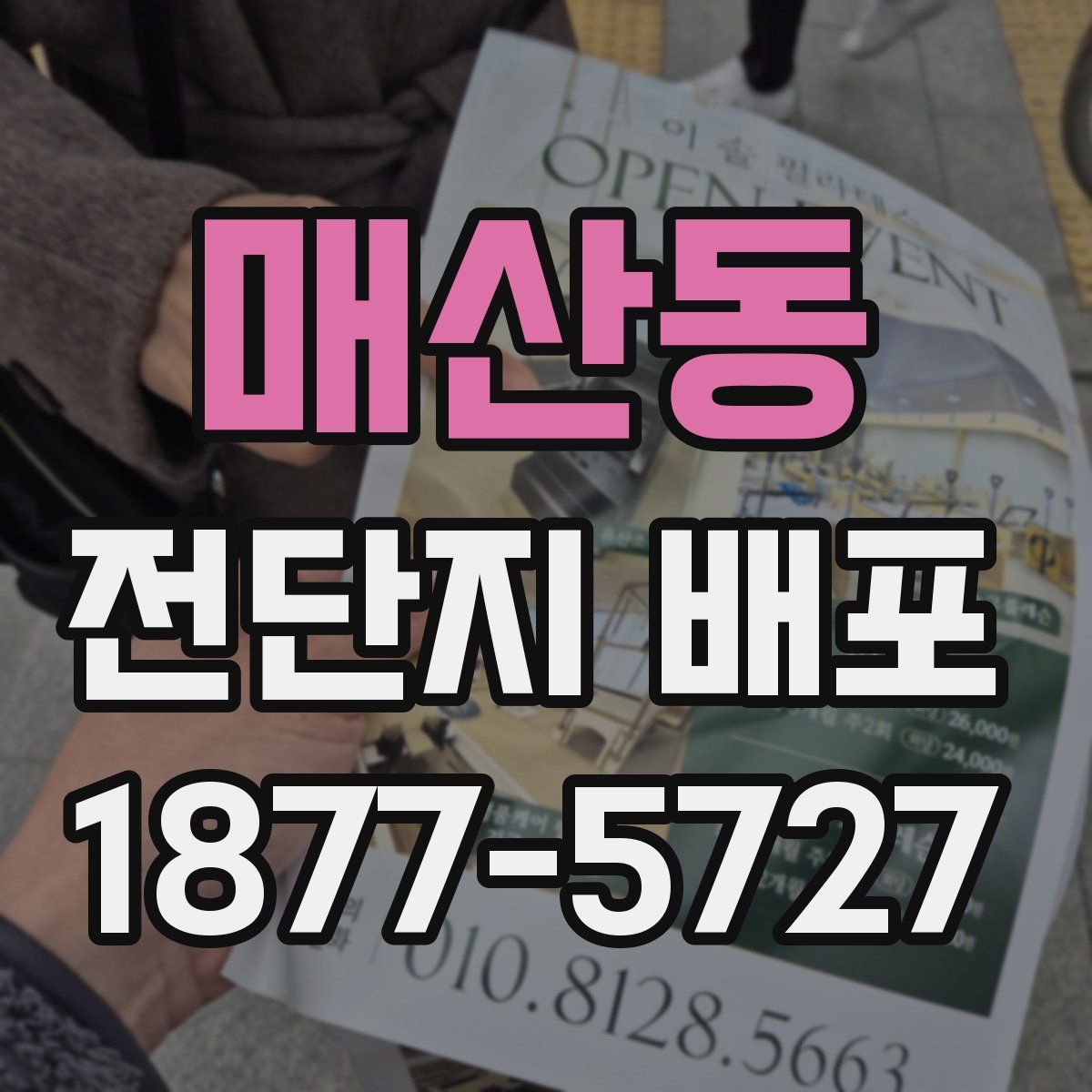 매산동 전단지 배포