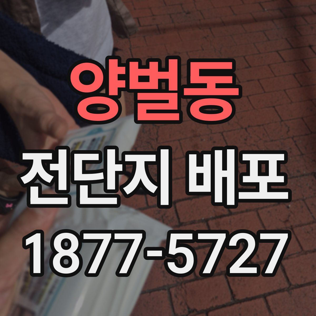 양벌동 전단지 배포