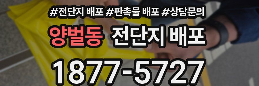 양벌동 전단지 배포