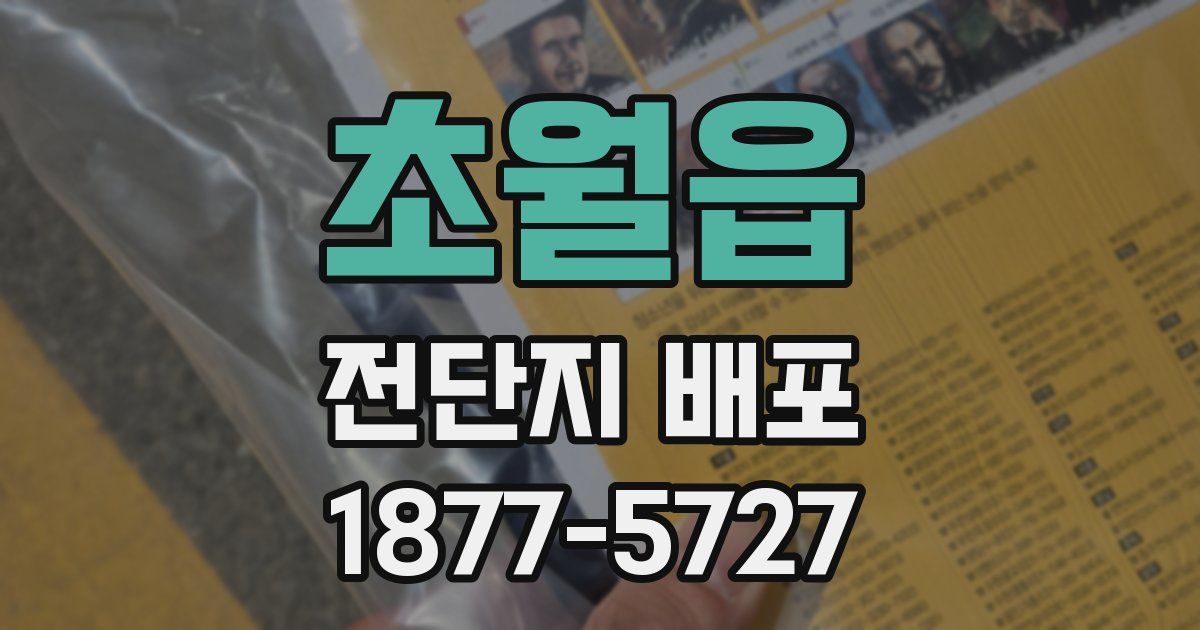 초월읍 전단지 배포