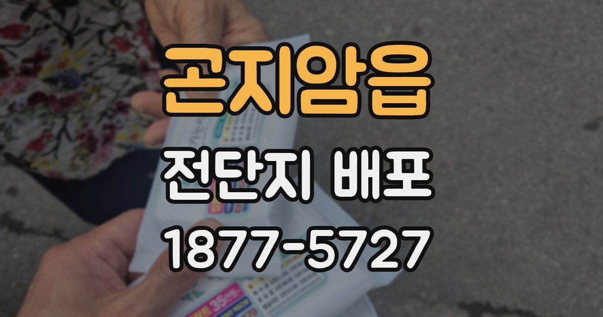 곤지암읍 전단지 배포