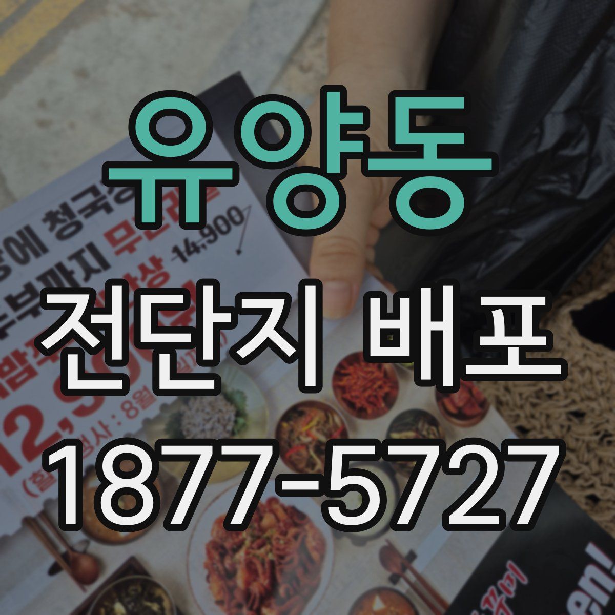 유양동 전단지 배포