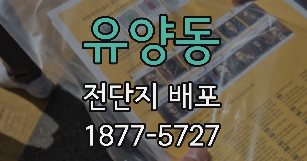 유양동 전단지 배포