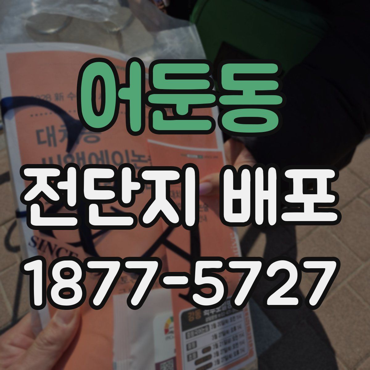 어둔동 전단지 배포
