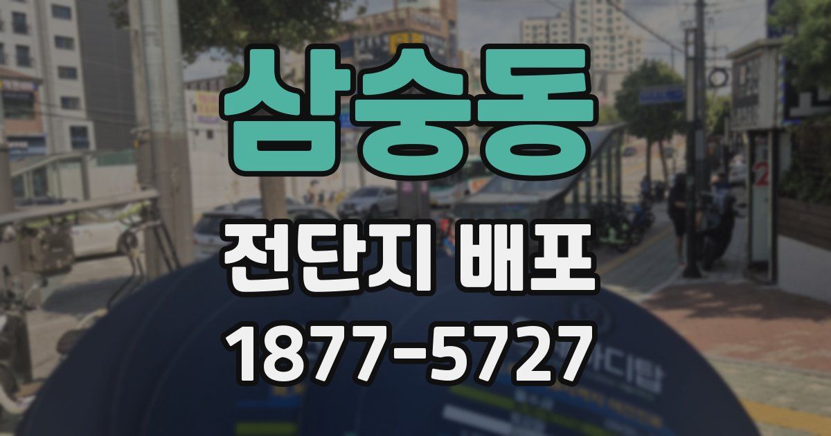 삼숭동 전단지 배포