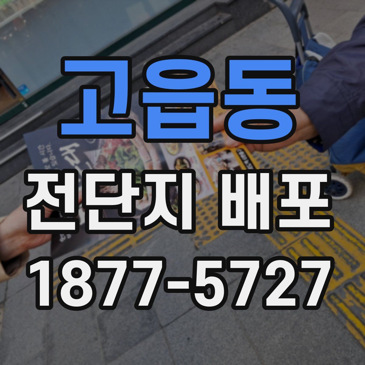고읍동 전단지 배포