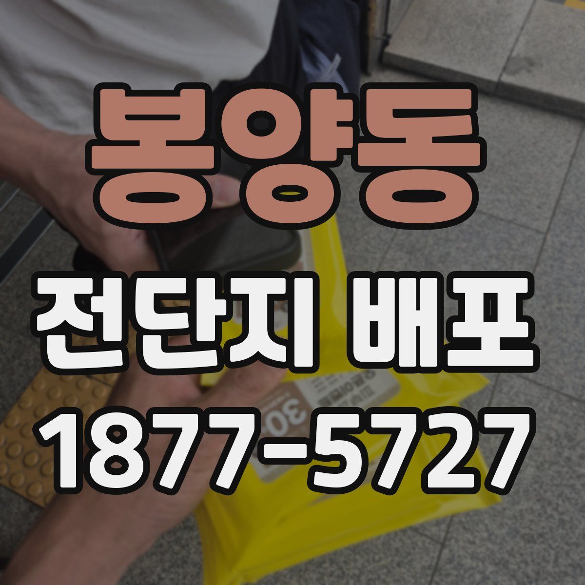 봉양동 전단지 배포