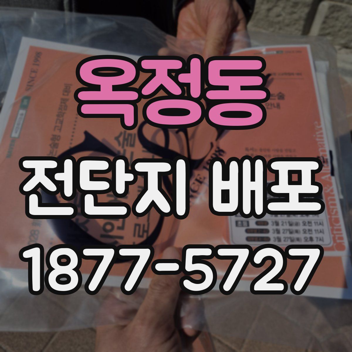 옥정동 전단지 배포