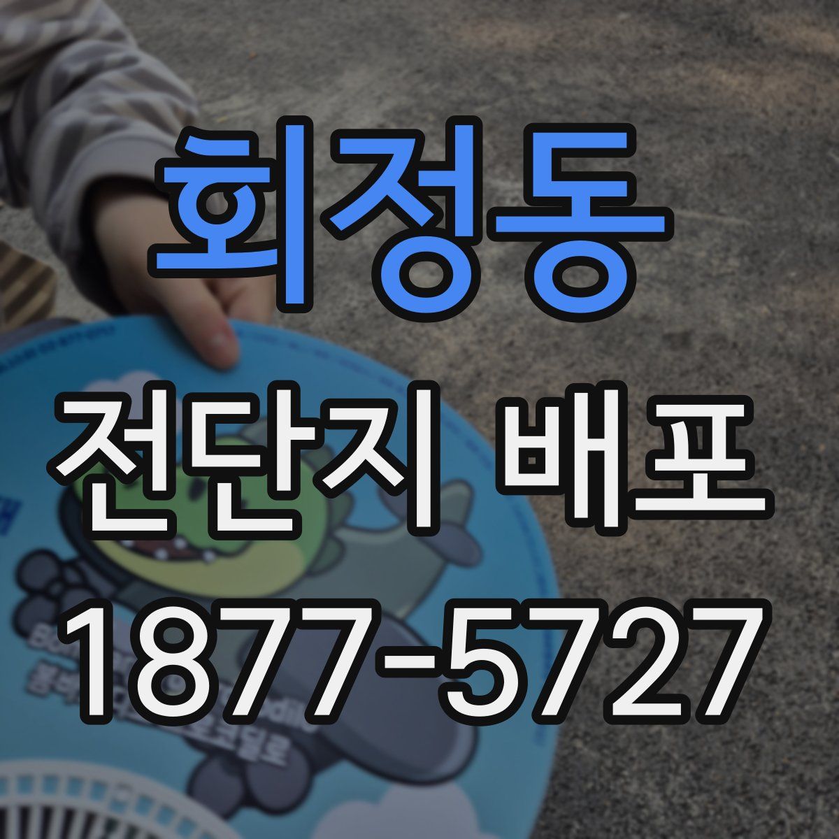 회정동 전단지 배포