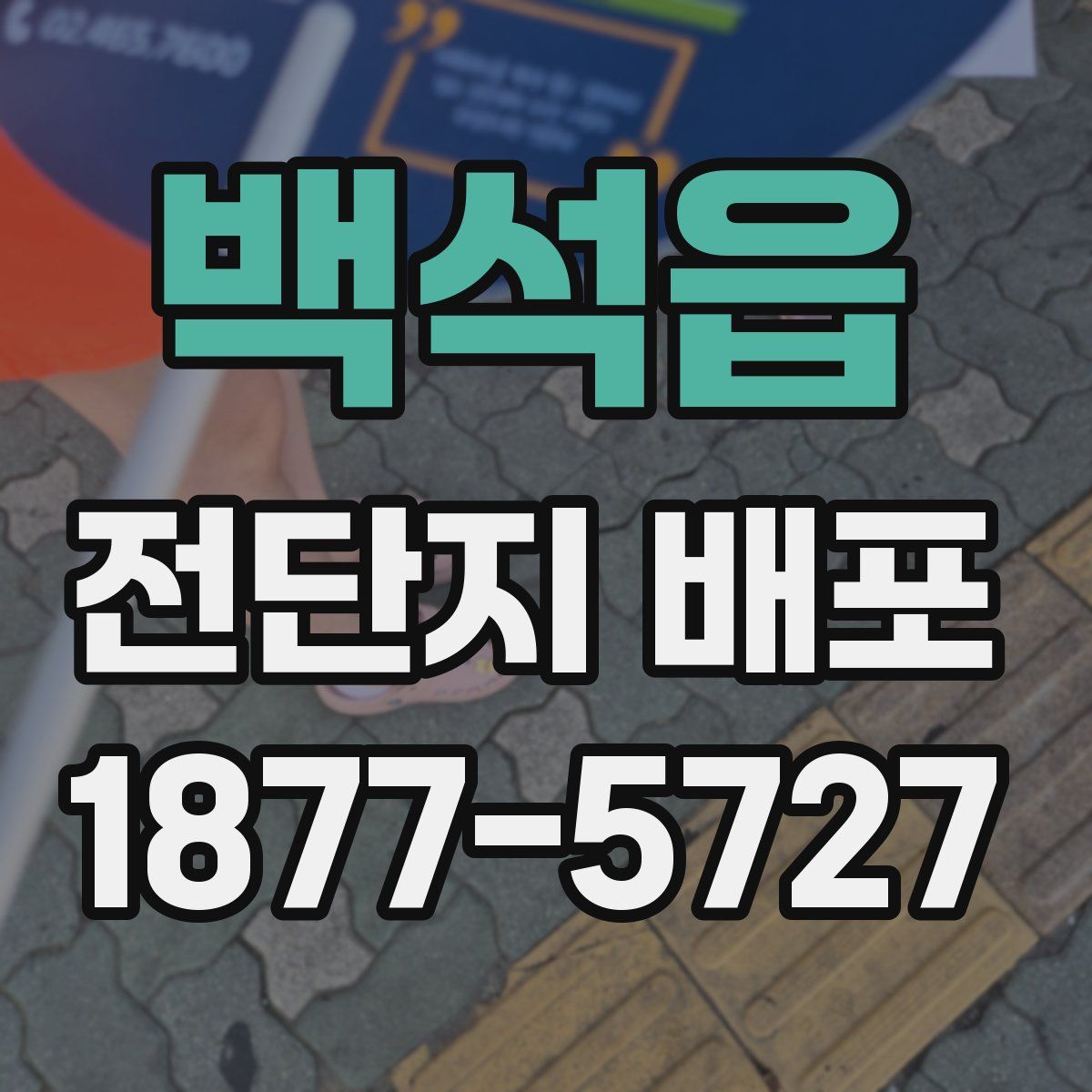 백석읍 전단지 배포