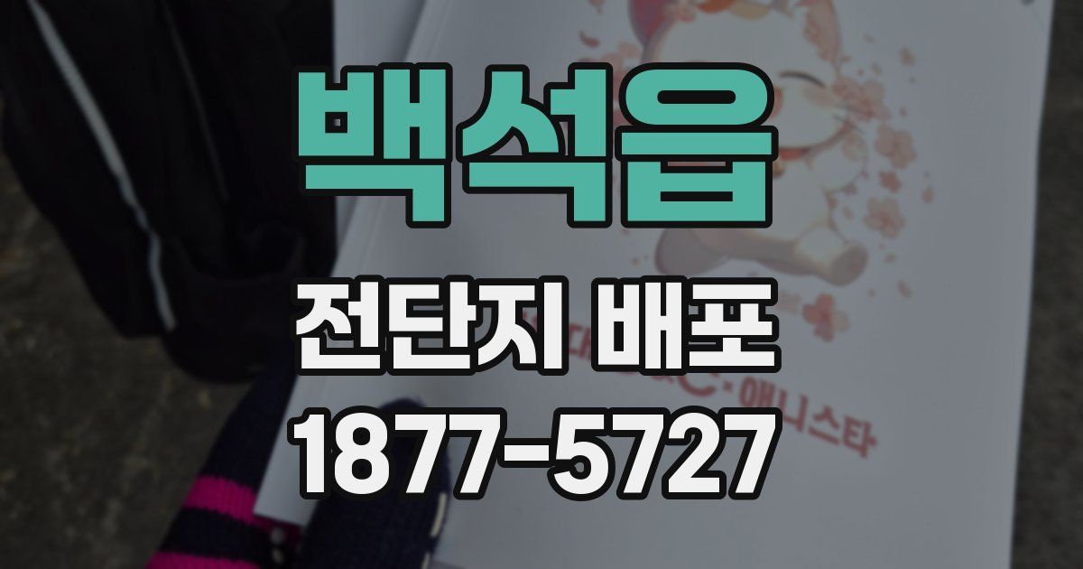 백석읍 전단지 배포