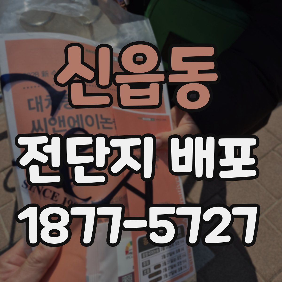 신읍동 전단지 배포