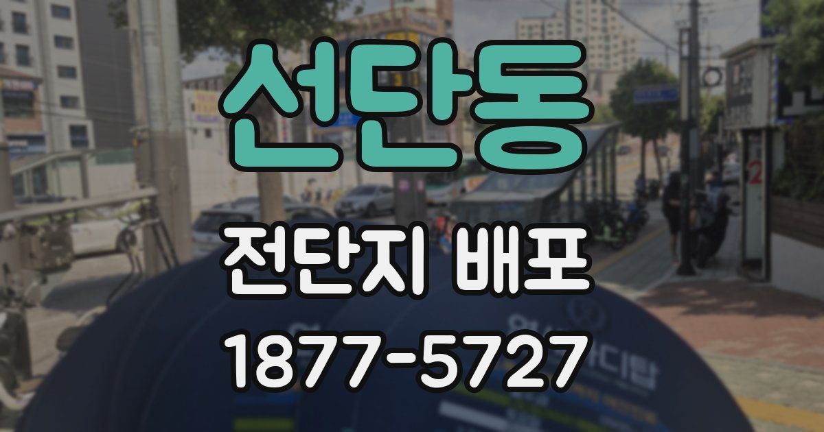 선단동 전단지 배포