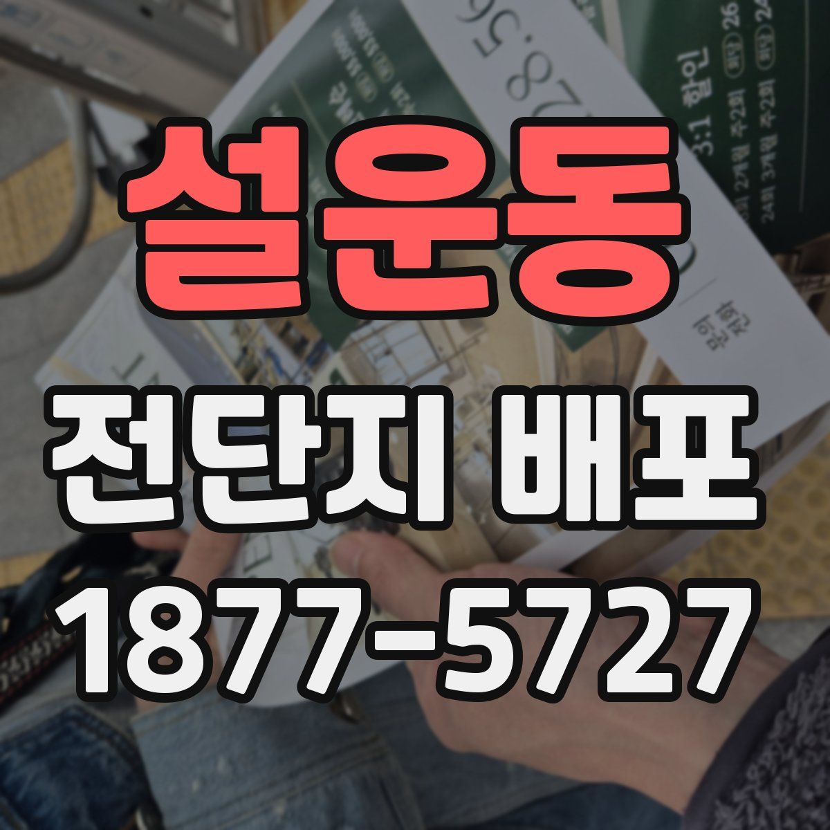 설운동 전단지 배포
