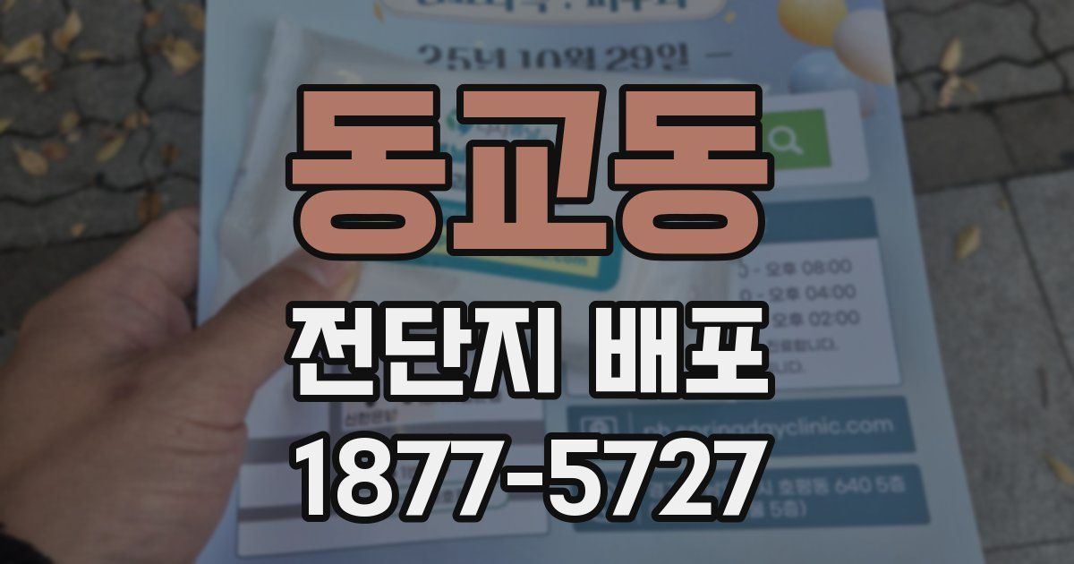 동교동 전단지 배포