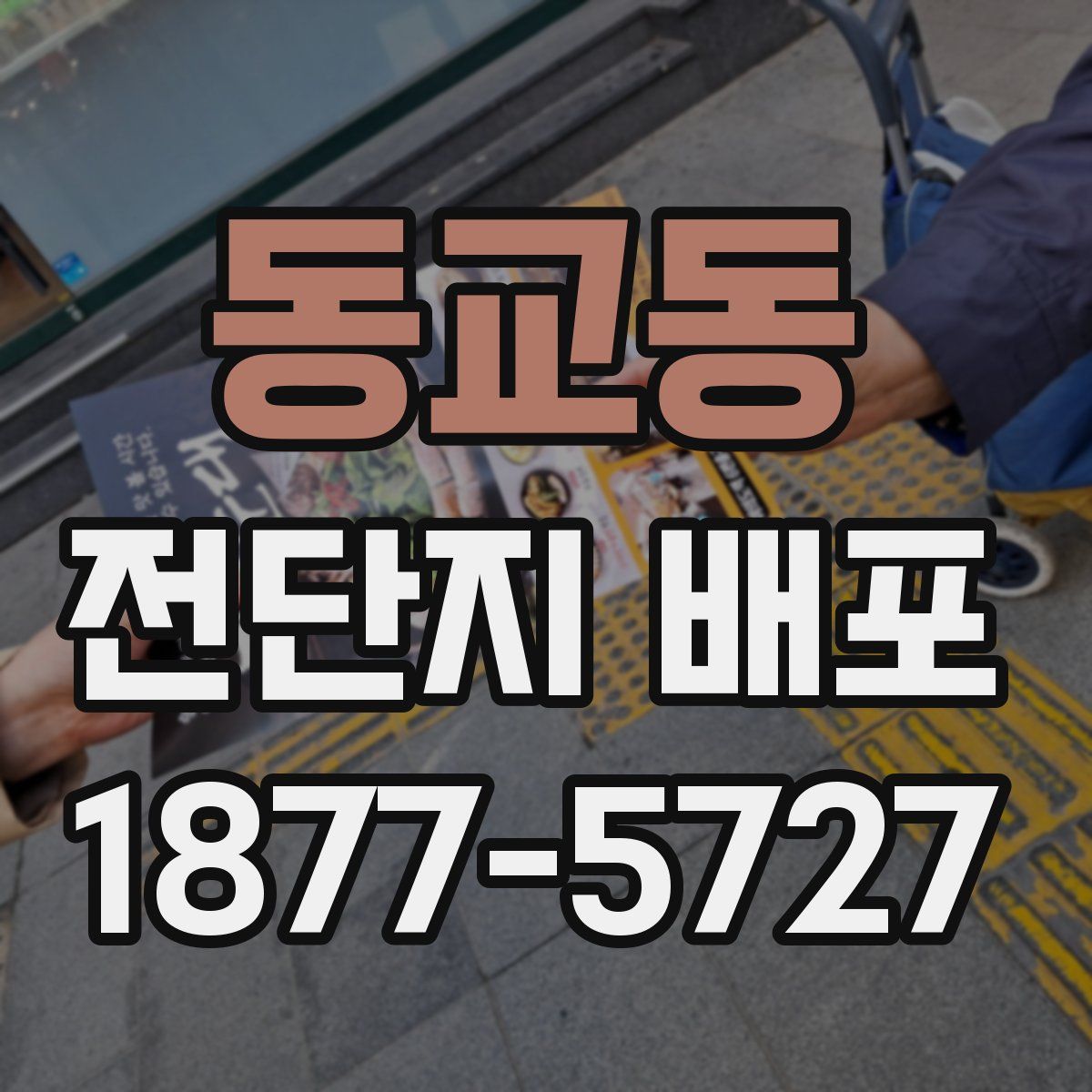 동교동 전단지 배포