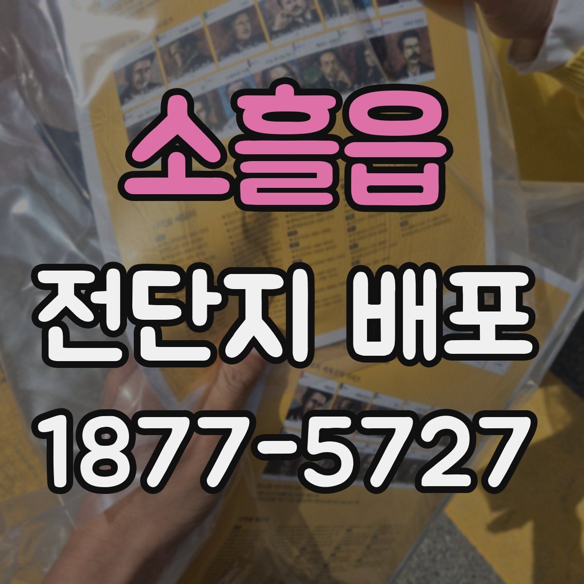 소흘읍 전단지 배포