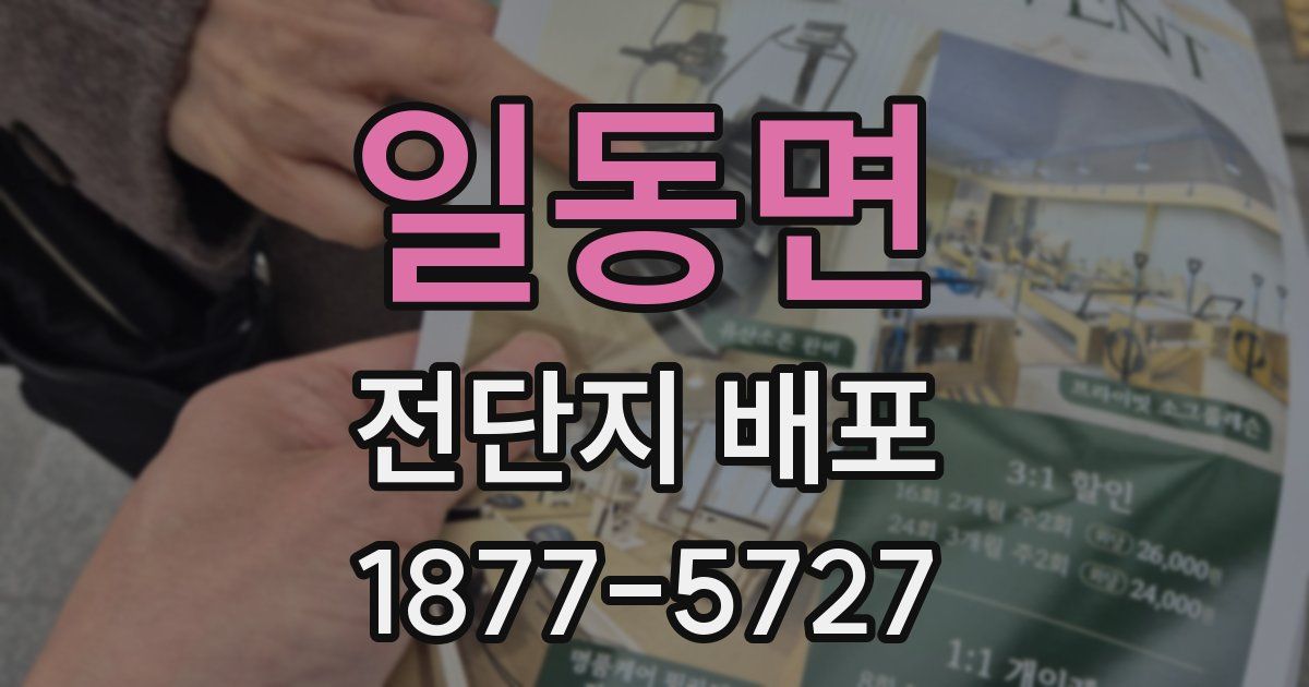 일동면 전단지 배포