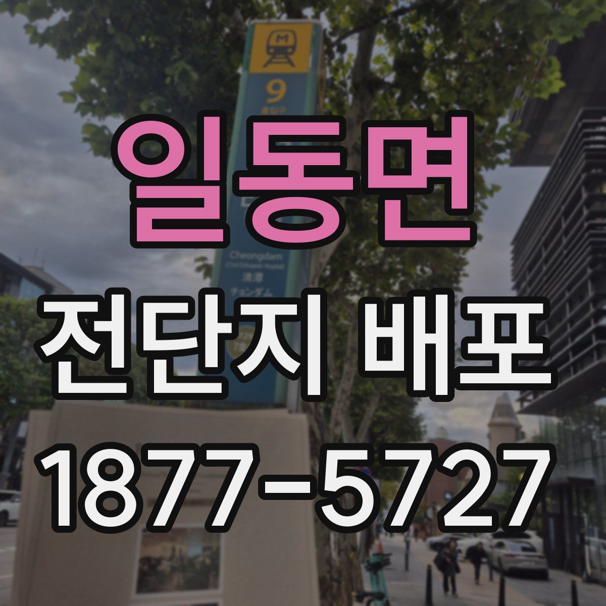 일동면 전단지 배포