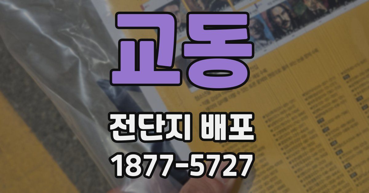 교동 전단지 배포