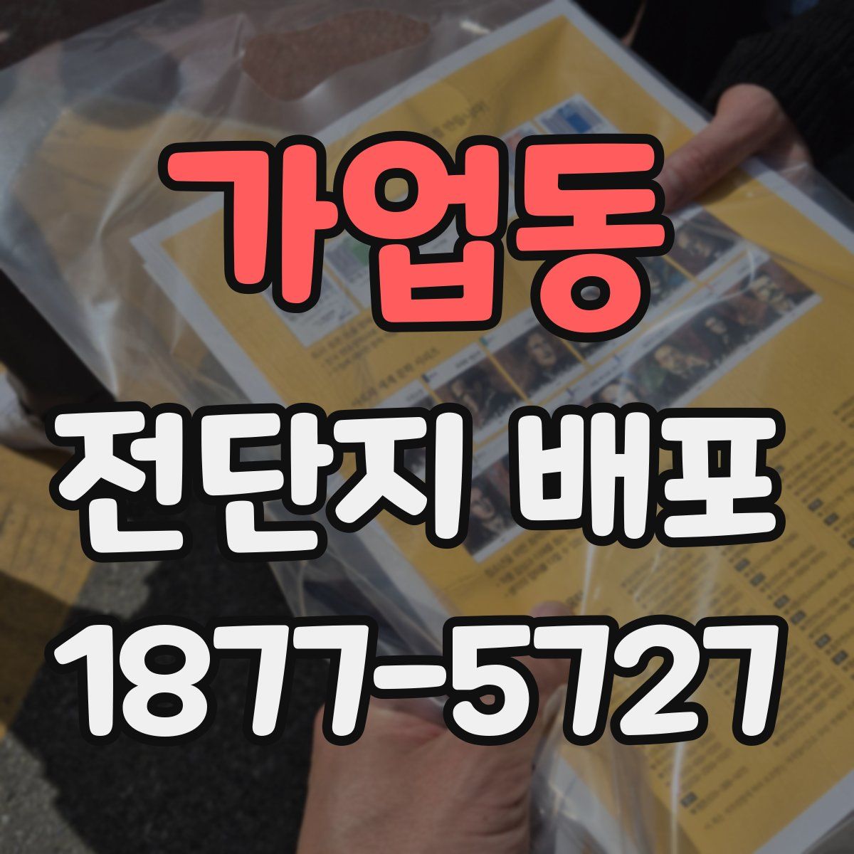 가업동 전단지 배포
