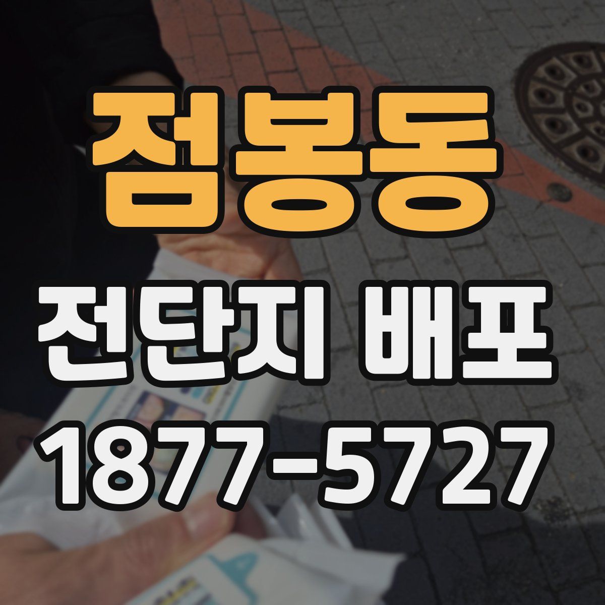 점봉동 전단지 배포