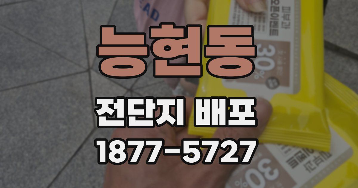 능현동 전단지 배포