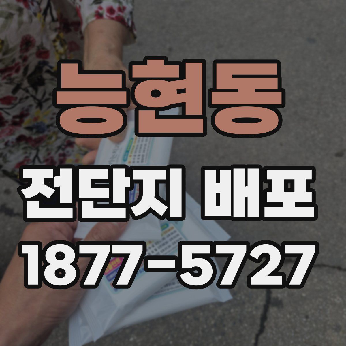 능현동 전단지 배포