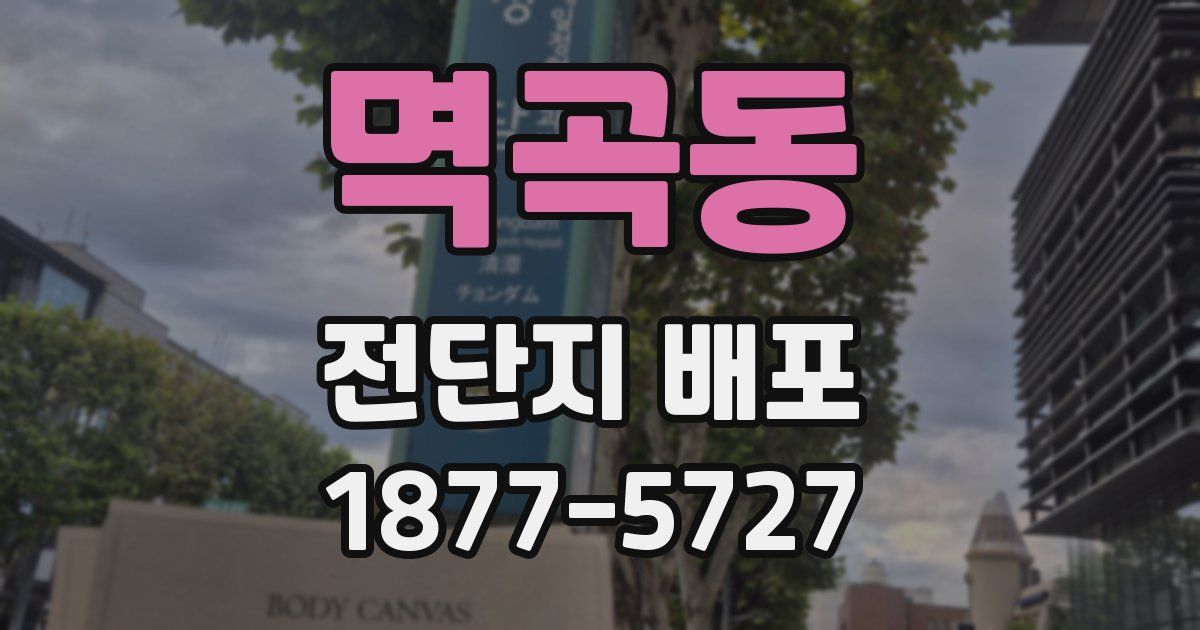 멱곡동 전단지 배포