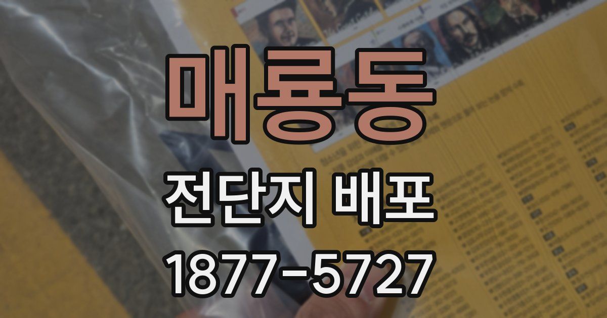 매룡동 전단지 배포