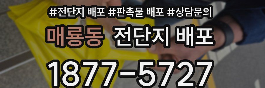 매룡동 전단지 배포